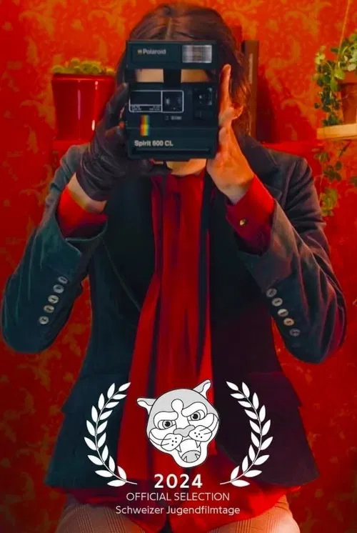 Diary of a Photobooth movie poster