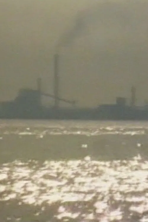 Porto Marghera, il lavoro contro la vita movie poster