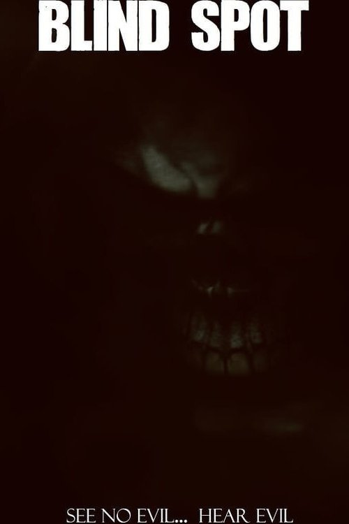 Blind Spot movie poster