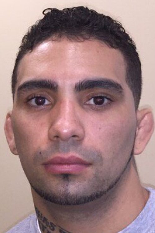Foto de perfil de Caros Fodor