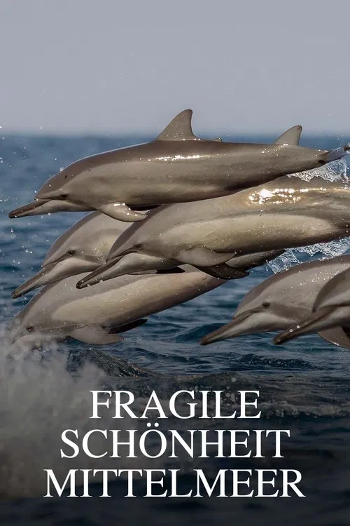 La Méditerranée révélée tv show poster