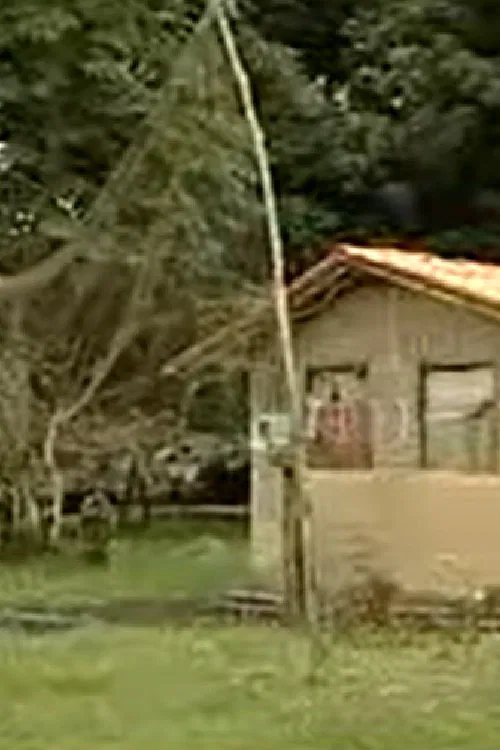Cidades Amazônicas movie poster