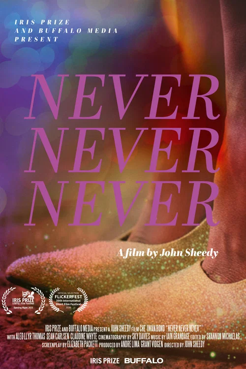Never Never Never movie poster