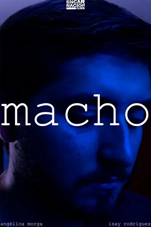 The Man movie poster