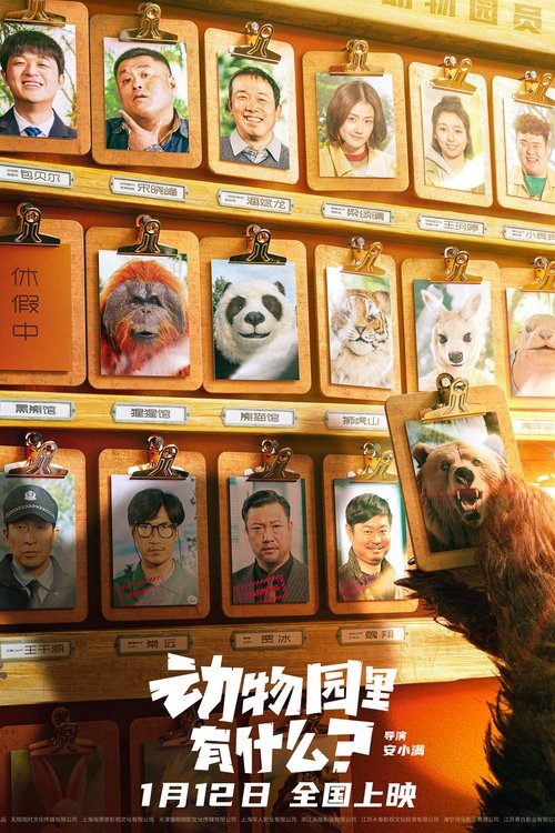 Follow Bear to Adventure movie poster