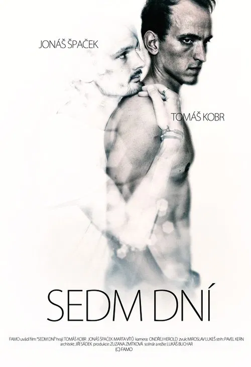 Seven Days movie poster