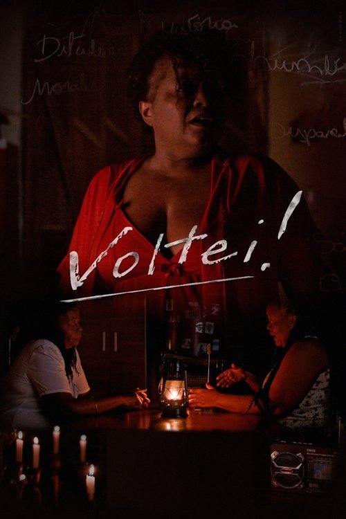 Voltei! movie poster