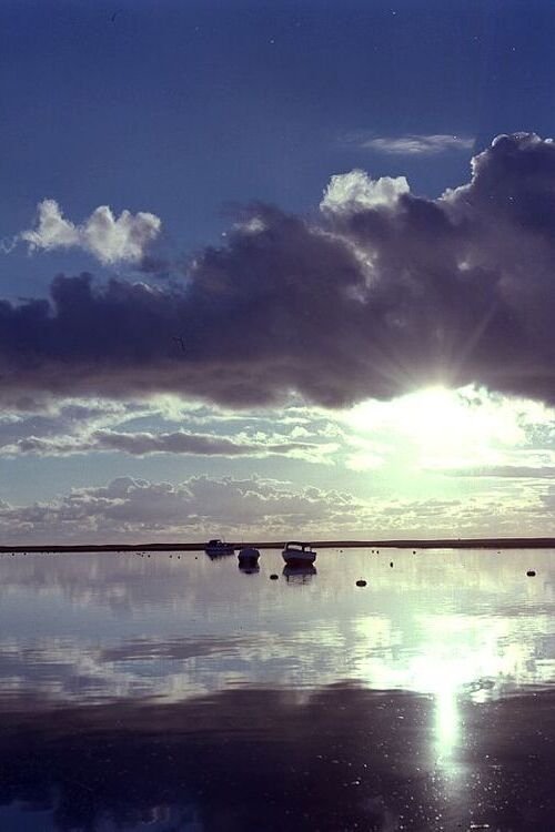 Estuary movie poster