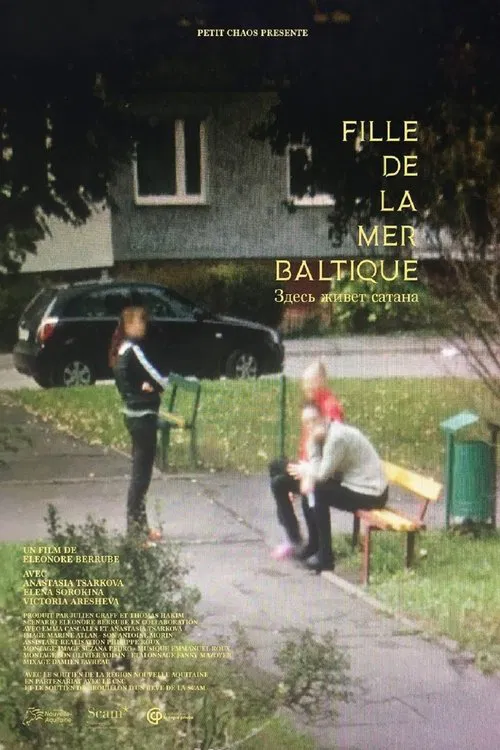 Daughter Of The Baltic Sea movie poster