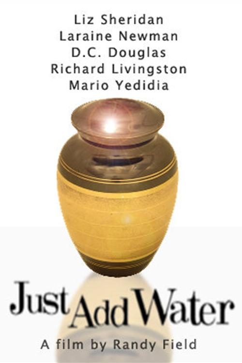 Poster do filme Just Add Water