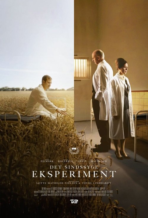 Det Sindssyge Eksperiment tv show poster