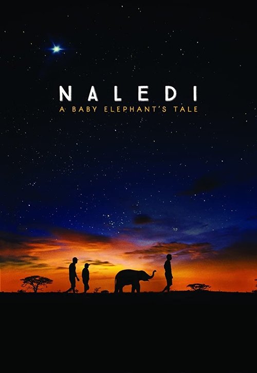 Naledi: A Baby Elephant's Tale movie poster