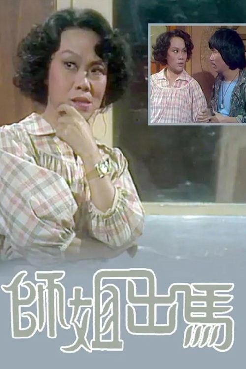 Police Woman tv show poster