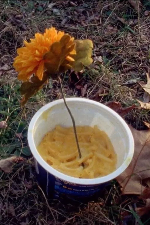 Macaroni Serenade movie poster