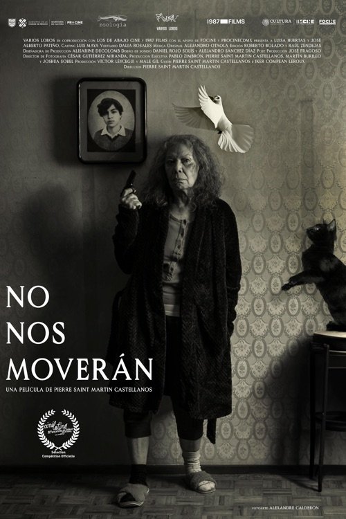 We Shall not be Moved movie poster