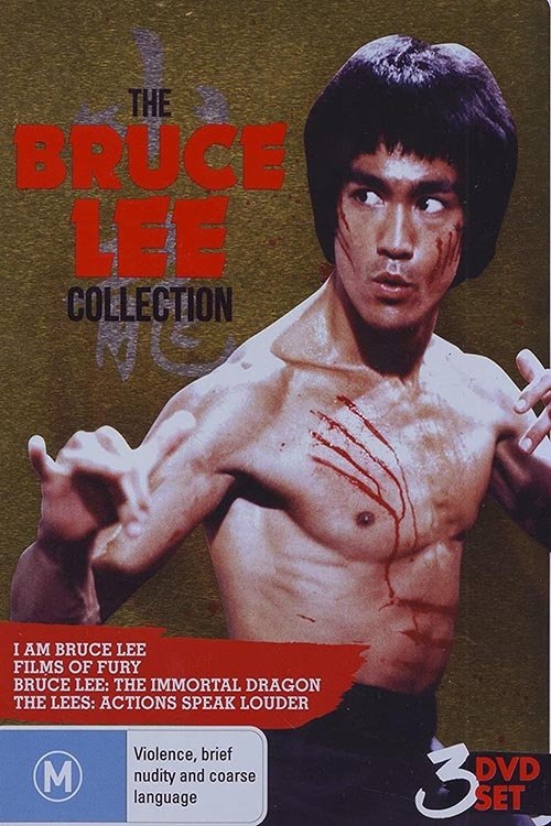 The Lees: Action Speaks Louder movie poster
