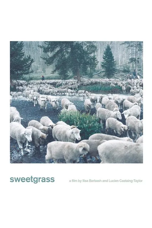 Poster do filme Sweetgrass