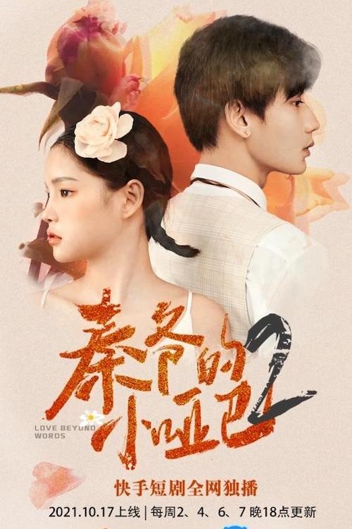 Love Beyond Words tv show poster
