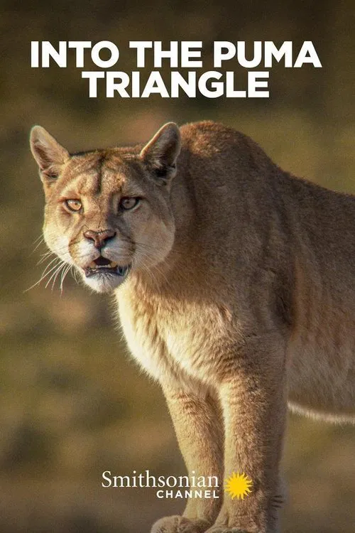 Into the Puma Triangle movie poster