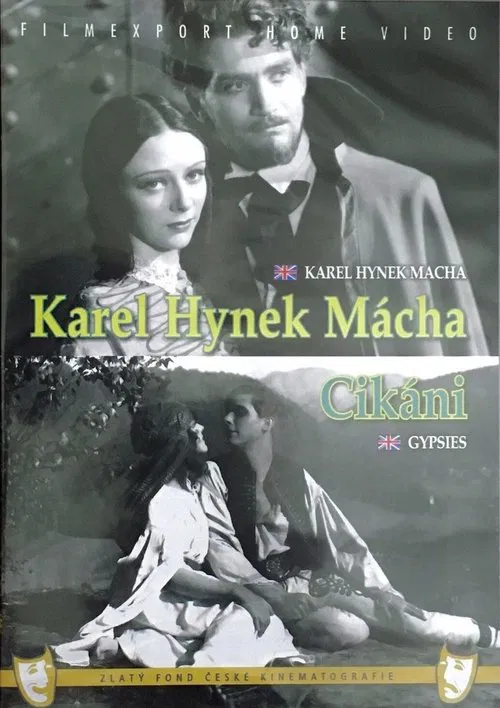 Poster do filme Gypsies