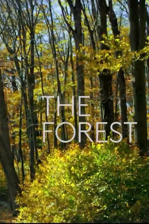 The Forest movie poster