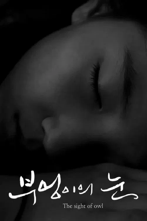The Sight of Owl movie poster
