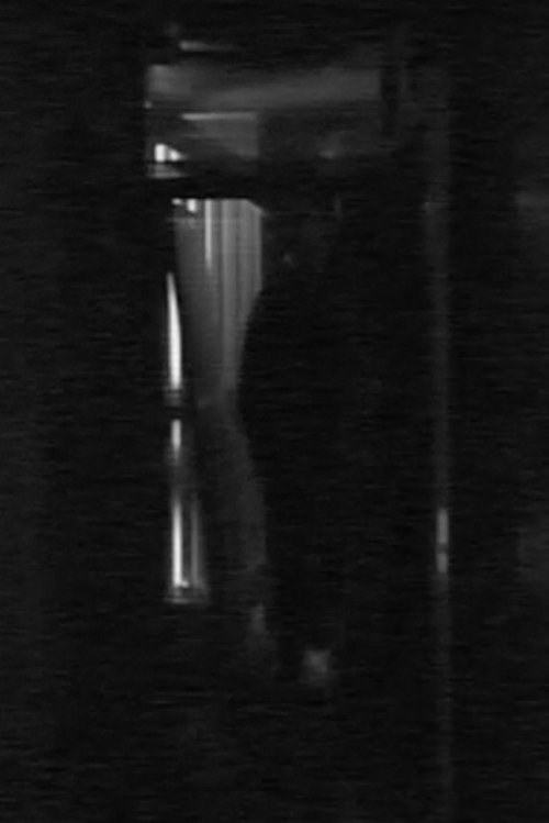 Work in Progress movie poster