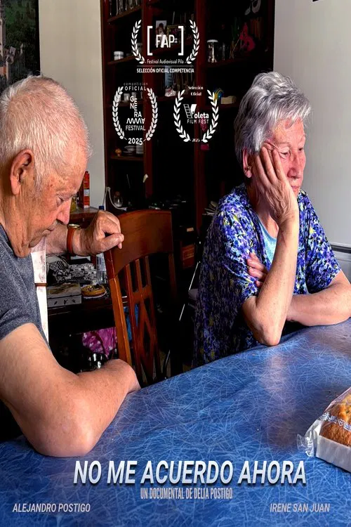 No me acuerdo ahora movie poster