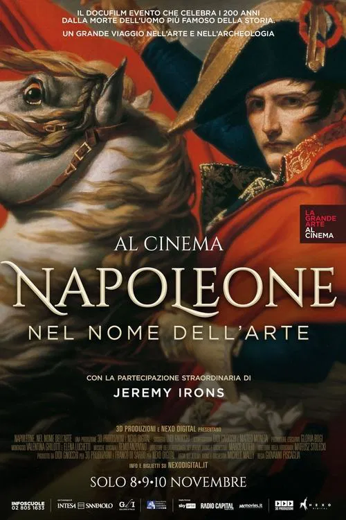 Napoleon: In the Name of Art movie poster