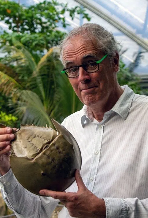 Govert naar de oorsprong van de mens tv show poster