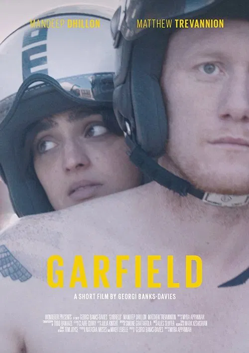 Garfield movie poster