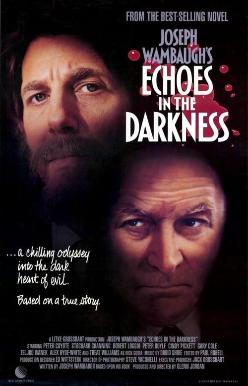 Echoes in the Darkness movie poster