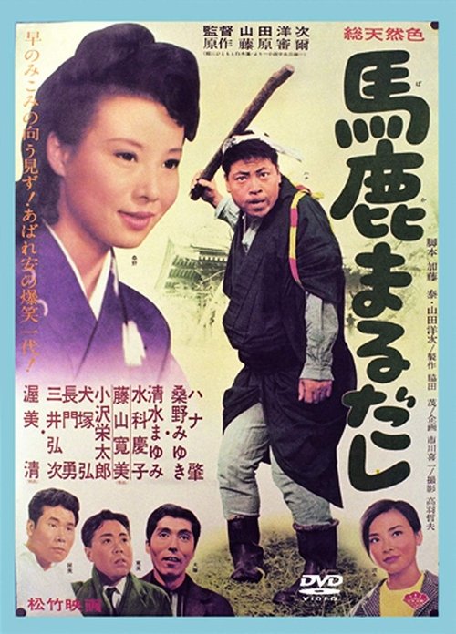 The Honest Fool movie poster