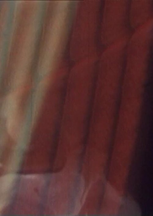 The Old Woman's Face, The Soup Tureen, Vreni Keller Speaks and Madame's Fanny movie poster