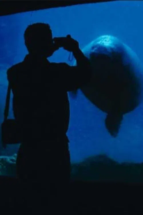 The Aquarium movie poster