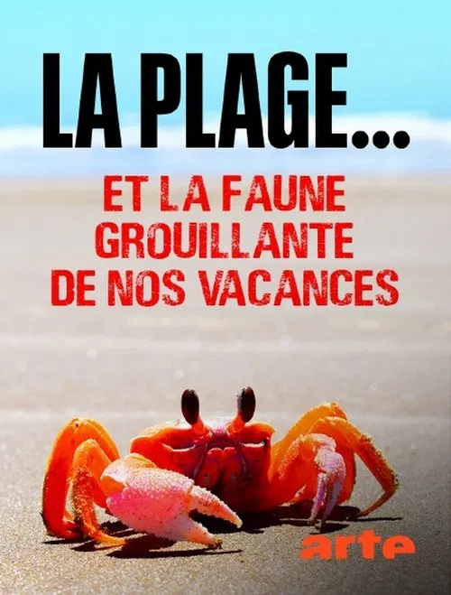 Der Strand: Tierisches aus dem Ferienparadies movie poster