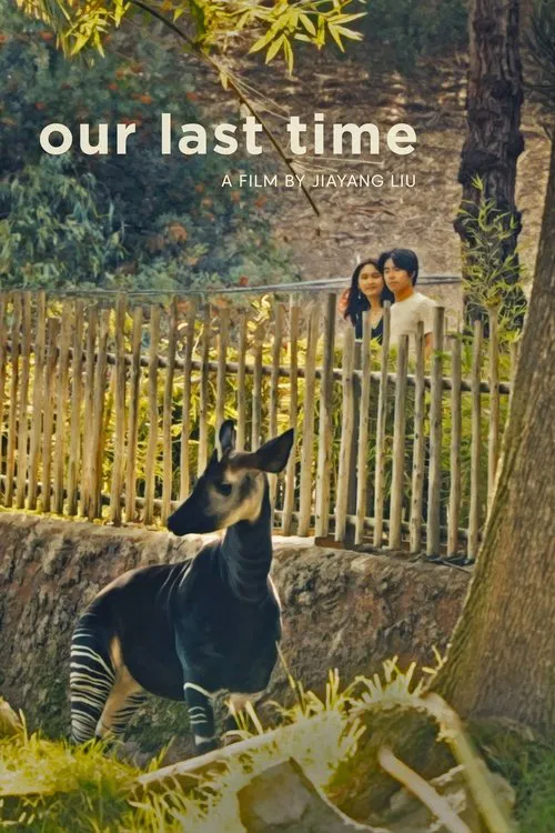 Poster do filme Our Last Time