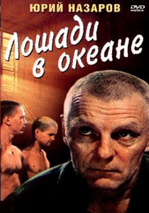 Horses in the Ocean movie poster