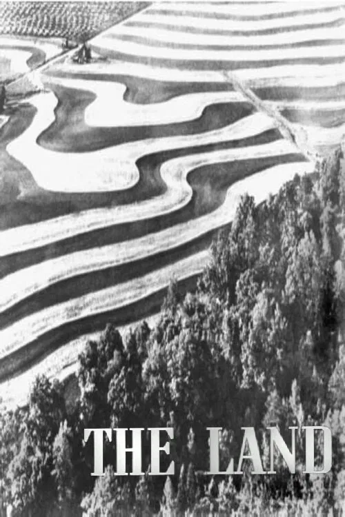 The Land movie poster