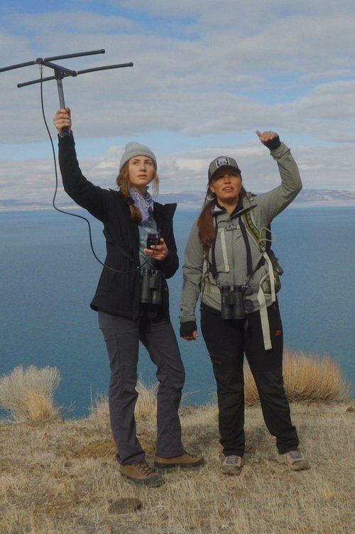 Humboldt USA movie poster