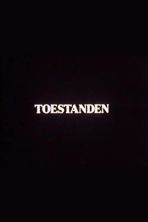Toestanden movie poster