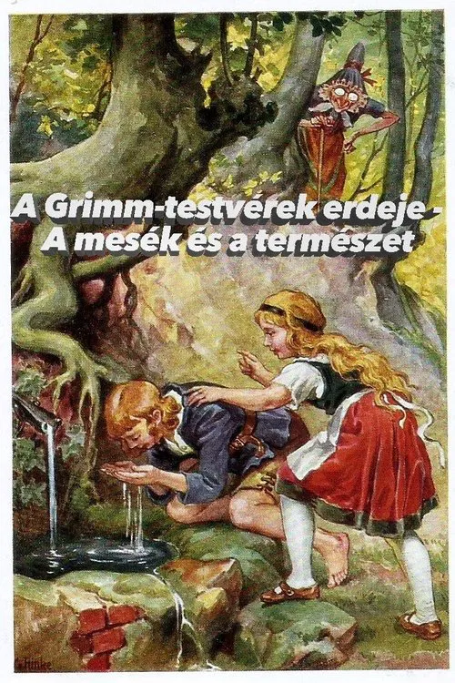 Im Märchenwald der Gebrüder Grimm movie poster