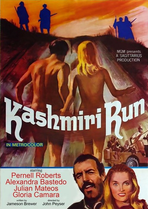 Poster do filme The Kashmiri Run