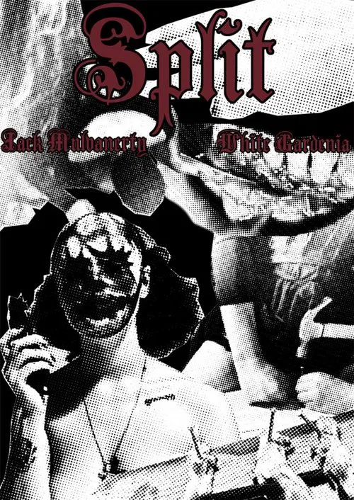 Split movie poster