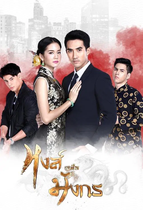 The Swan and The Dragon tv show poster