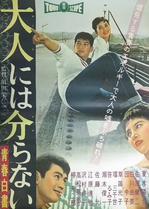 Adults Cannot Understand - Record of Youth movie poster