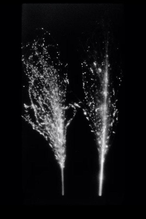Fukushima, Autoradiography movie poster