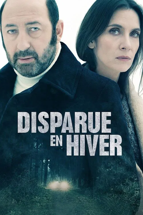 Poster do filme Disappeared in Winter