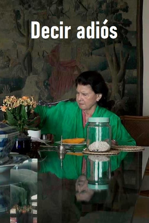 Poster do filme Decir adiós