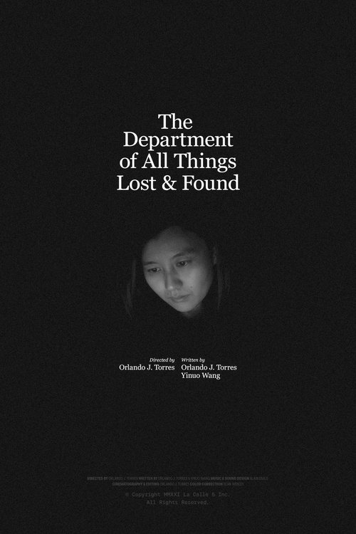 The Department of All Things Lost & Found movie poster